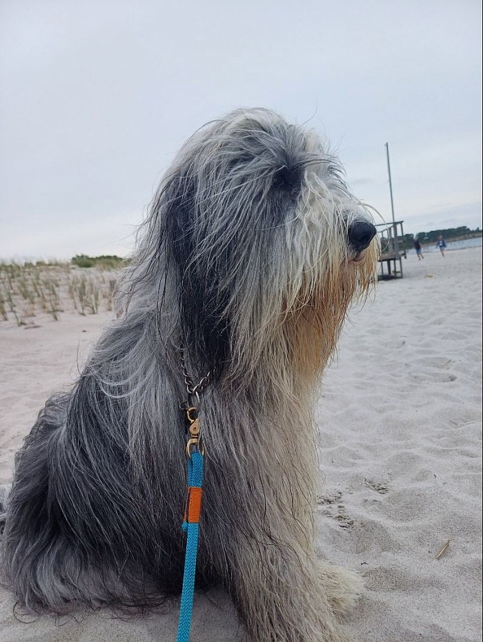 Sand ostsee rerik